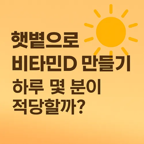비타민D 합성
