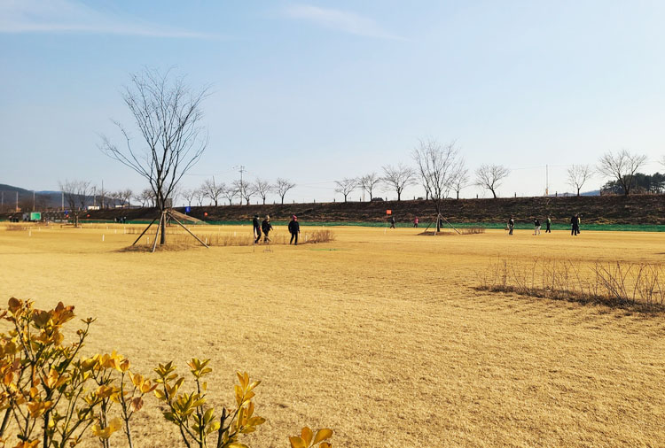 경상북도 의성군 비안파크골프장 소개