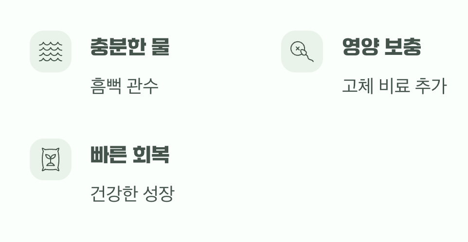 가지치기 후, 잊지 말아야 할 것