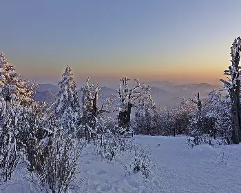 태백산 국립공원 실시간 cctv_11