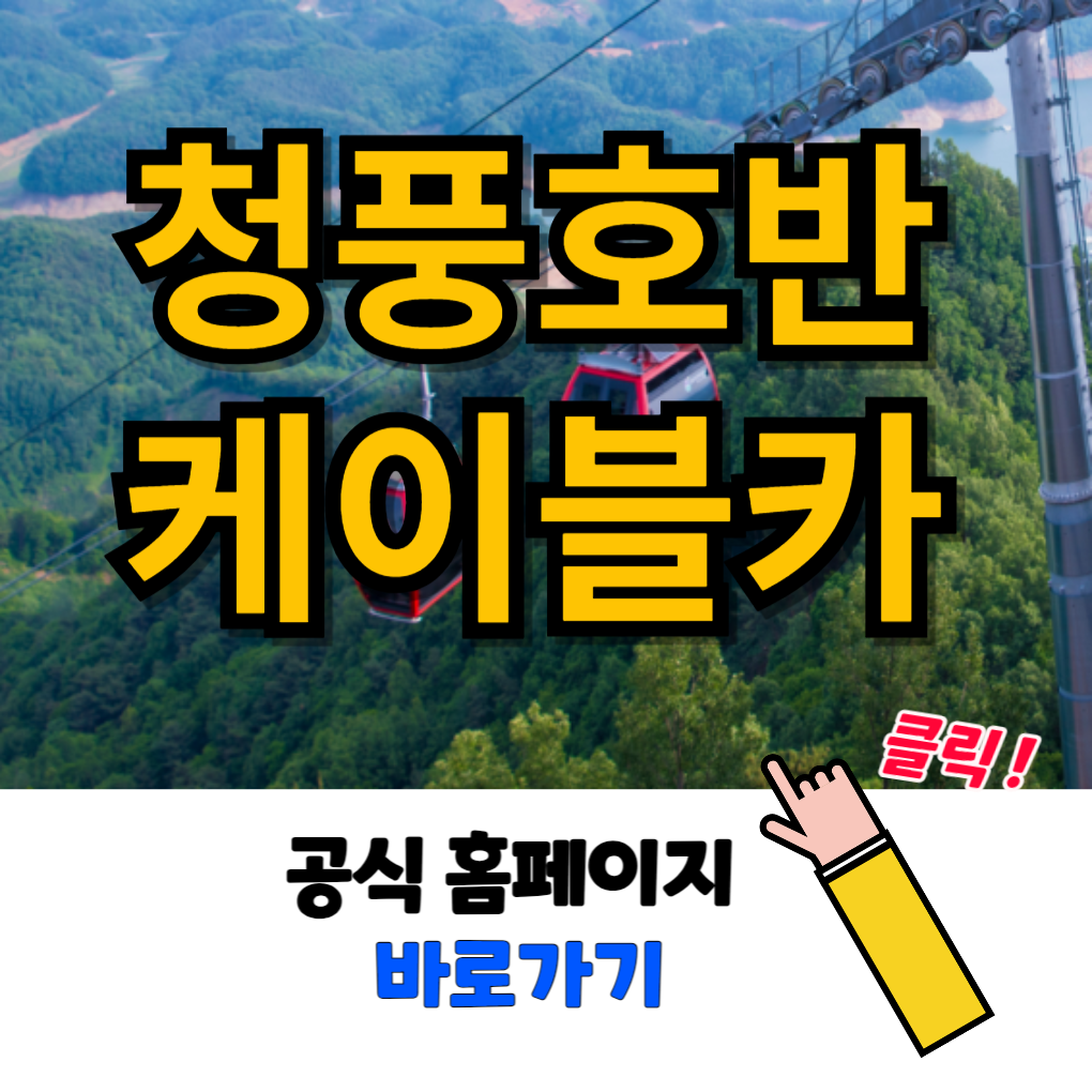 청풍호반 케이블카 예약