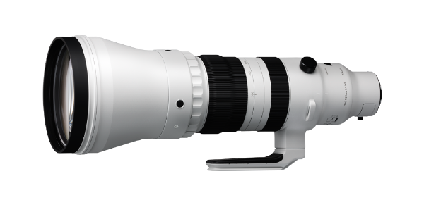 300-600mm F4 DG OS HSM