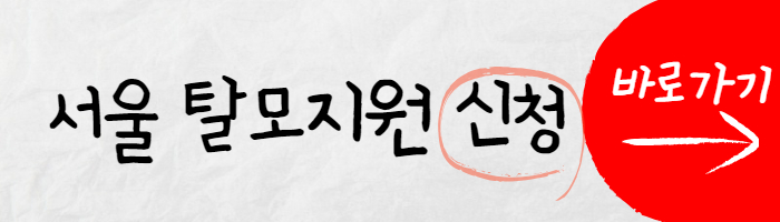 서울 탈모 지원금 신청