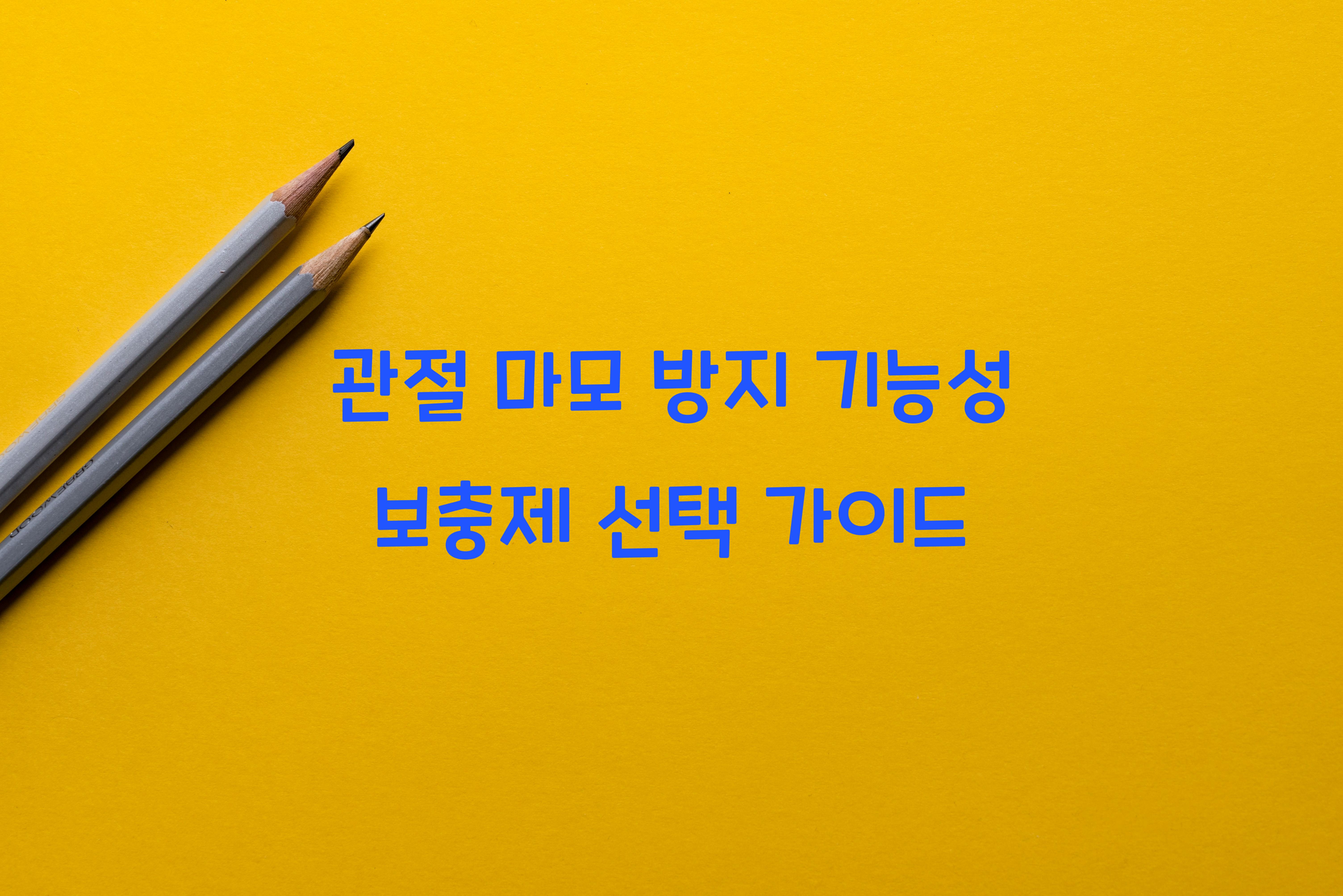 관절 마모 방지 기능성 보충제