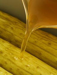 오이지 물없이담그는방법