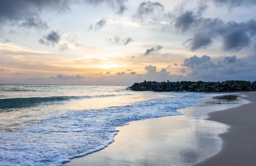 가족 바다 여행지 사진