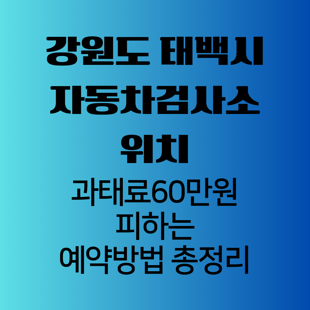 강원도태백시자동차검사소위치'