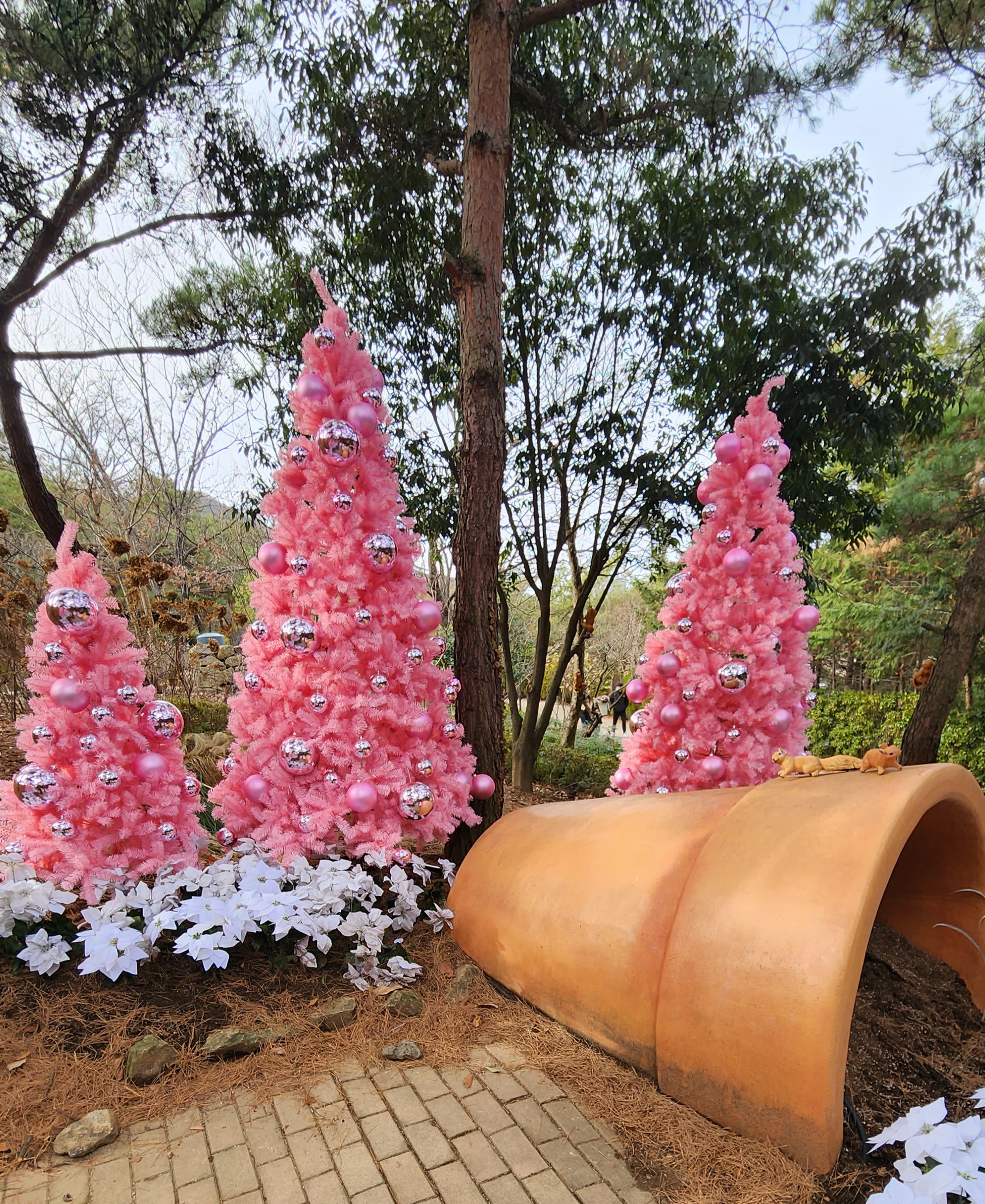 대구-네이처파크