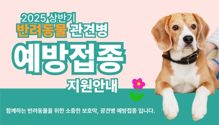 2025년 상반기 반려동물 광견병 무료 예방접종