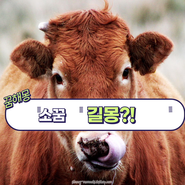 🐮 봄날, 소와 관련된 꿈 40가지 해몽 🌿