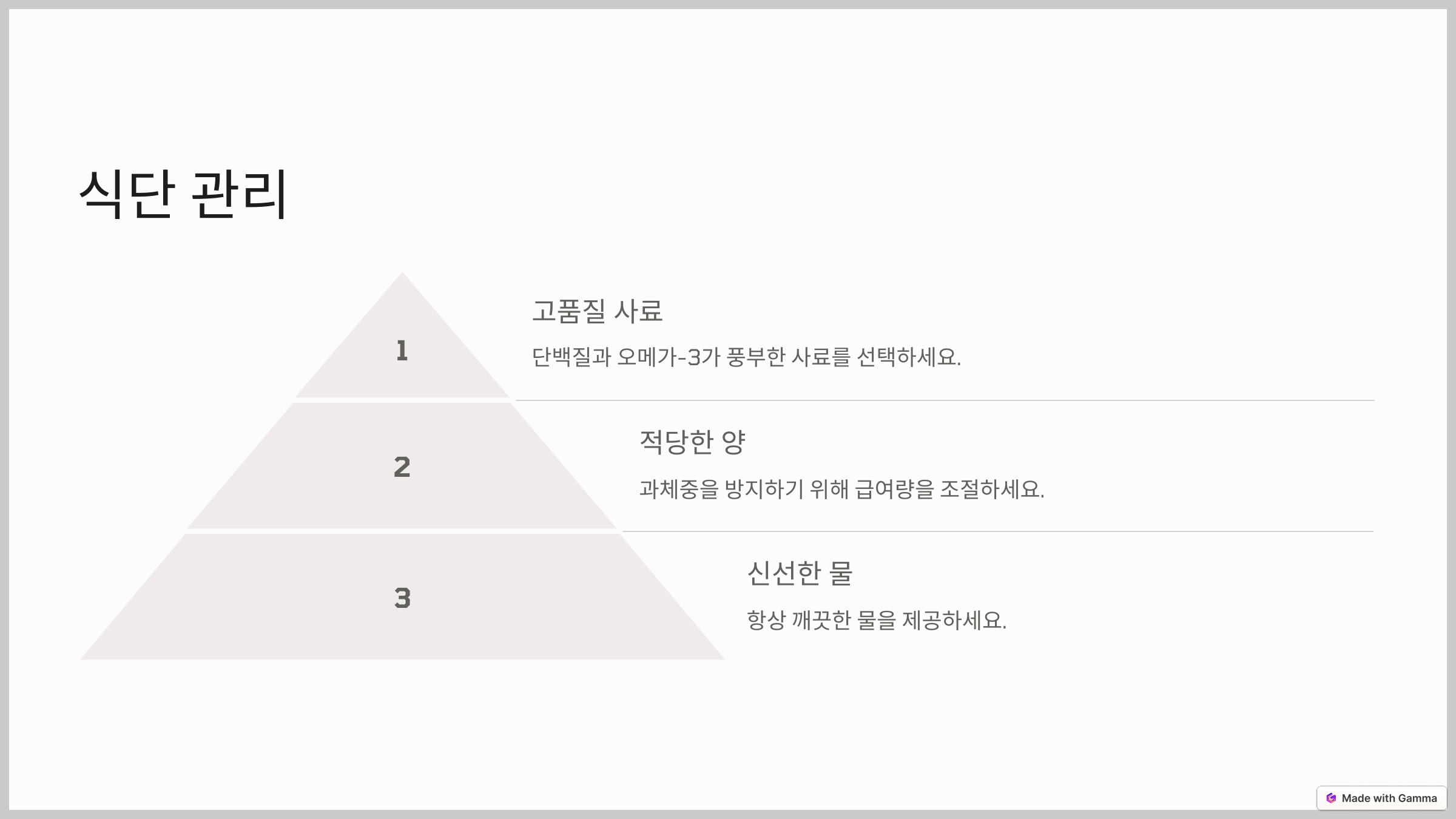 페르시안 친칠라를 위한 식단 관리