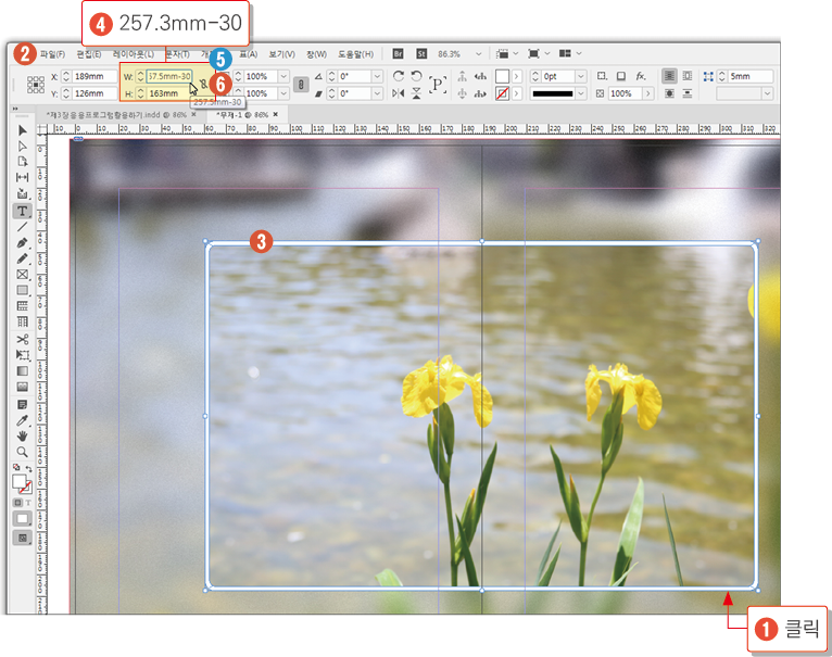 카메라 포커스19
