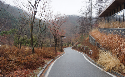 영화에서 롱테이크 장면이 특별하게 느껴지는 이유