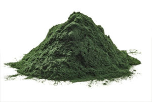 스피루리나 효과07