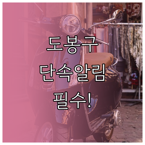 도봉구 주정차 위반 문자 서비스 신청..