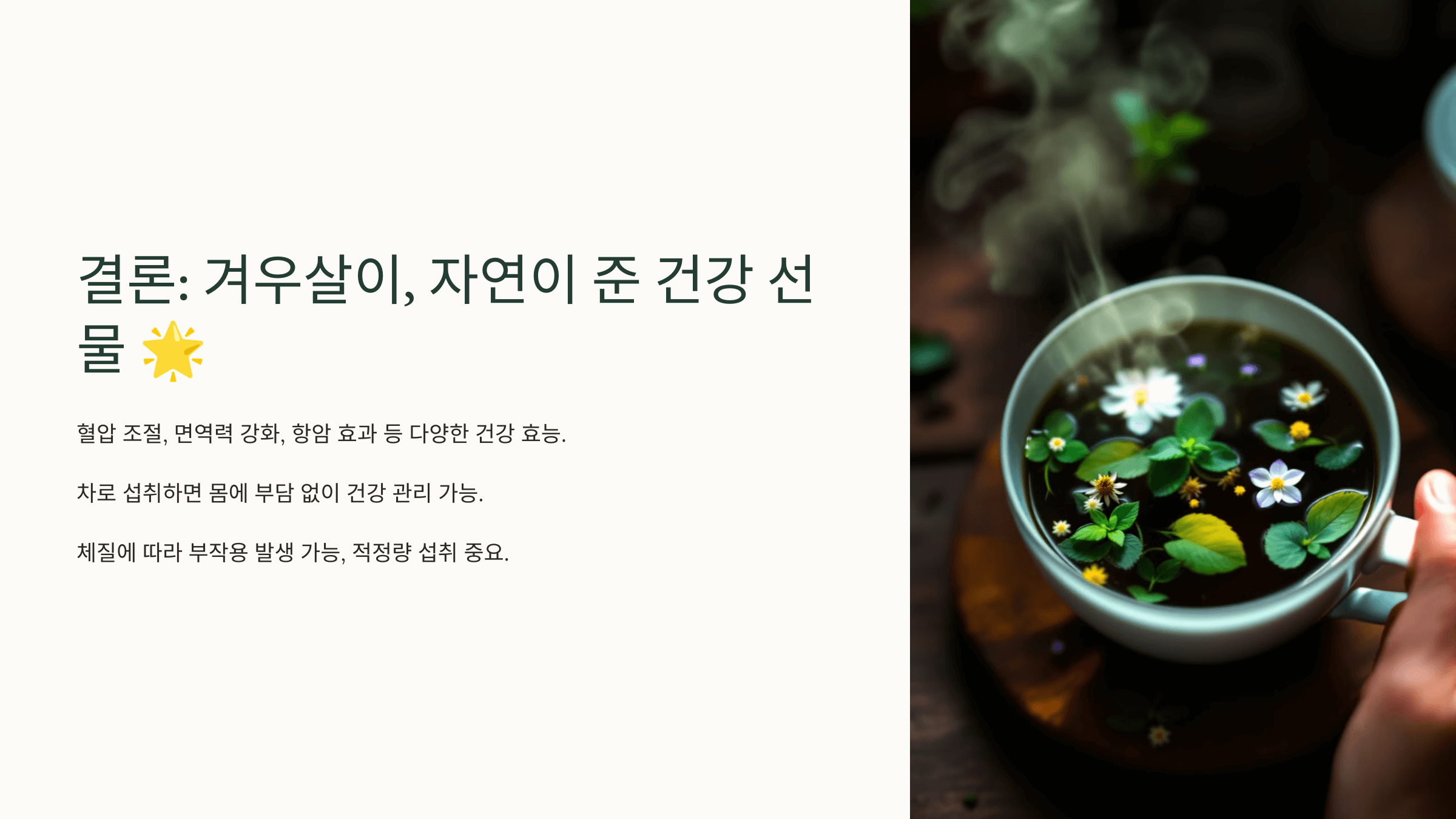 겨우살이 사진입니다.