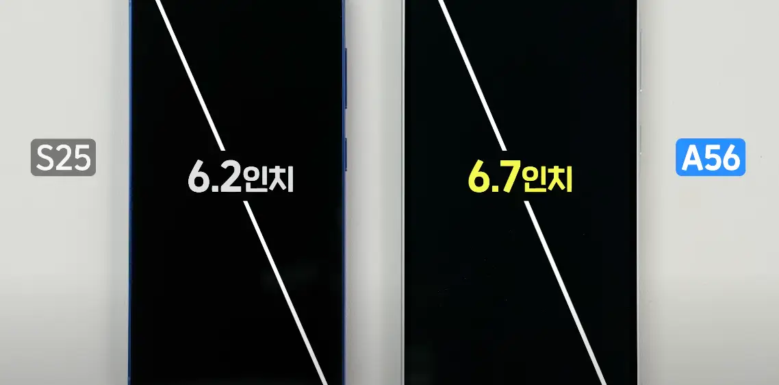 사진3