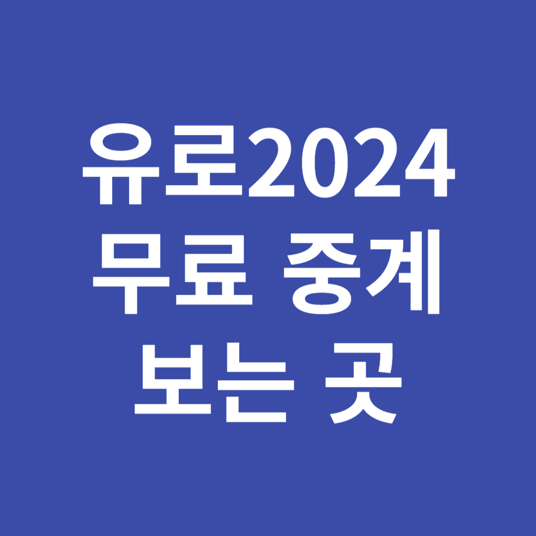 유로 2024 결승전