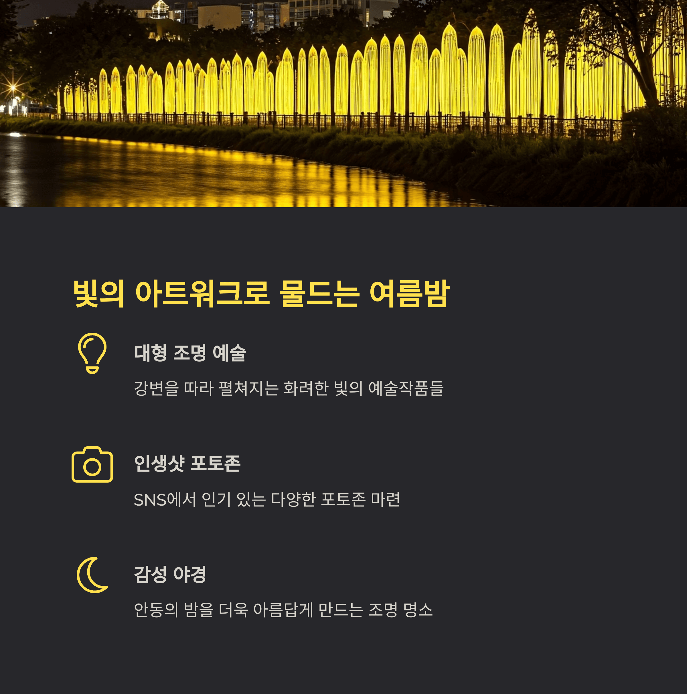 빛의 아트워크로 물드는 여름밤