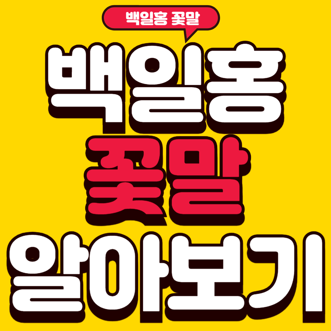 백일홍꽃말