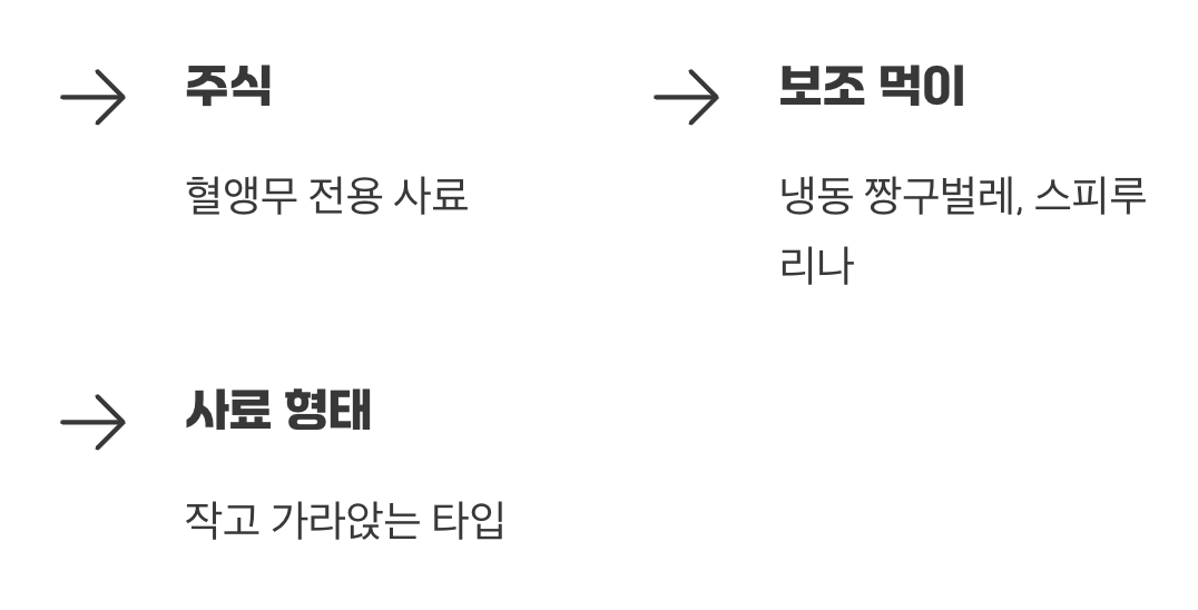 단조로운 먹이 공급