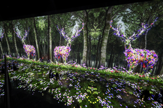 아르떼뮤지엄 강릉