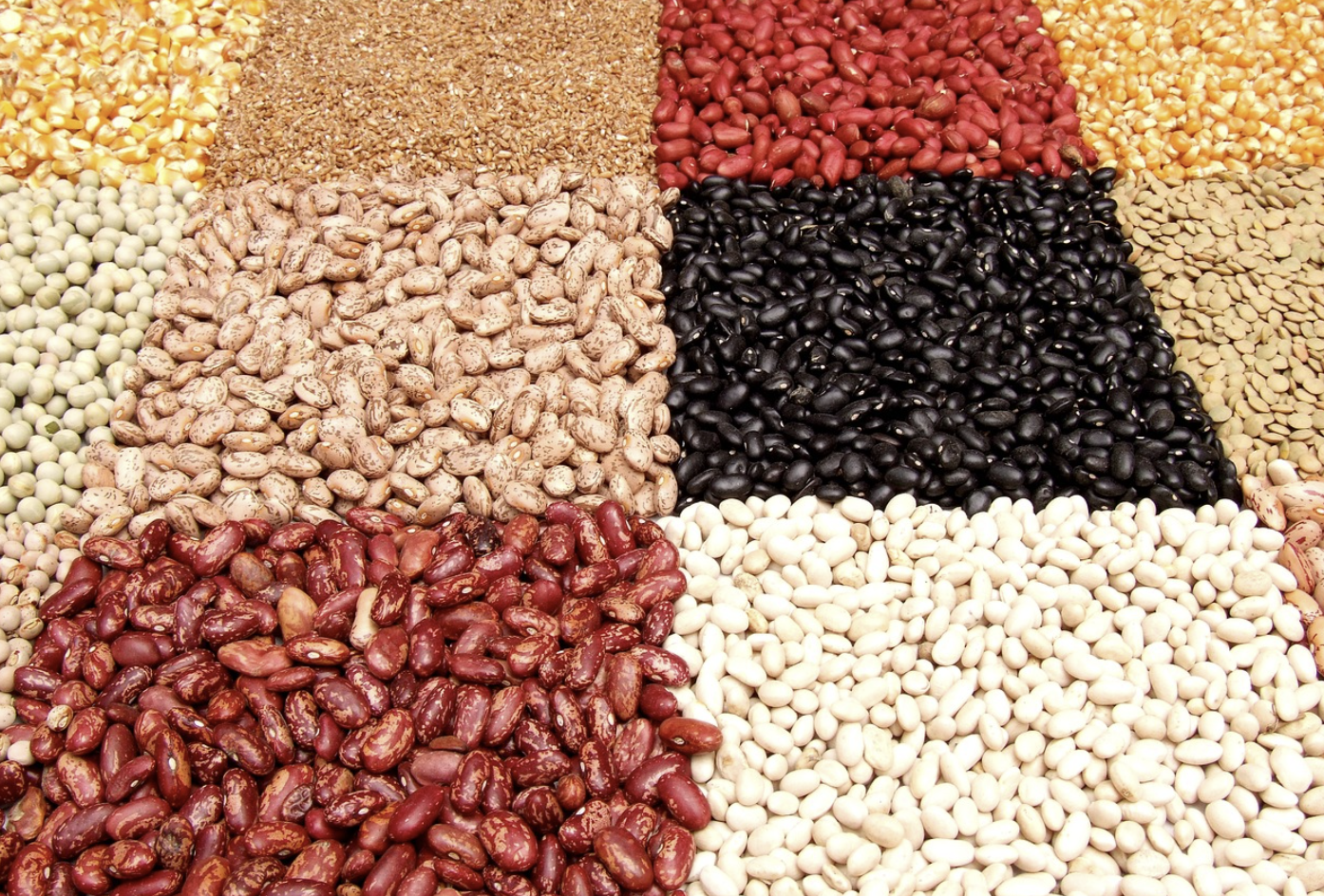 좋은 콜레스테롤과 나쁜 콜레스테롤