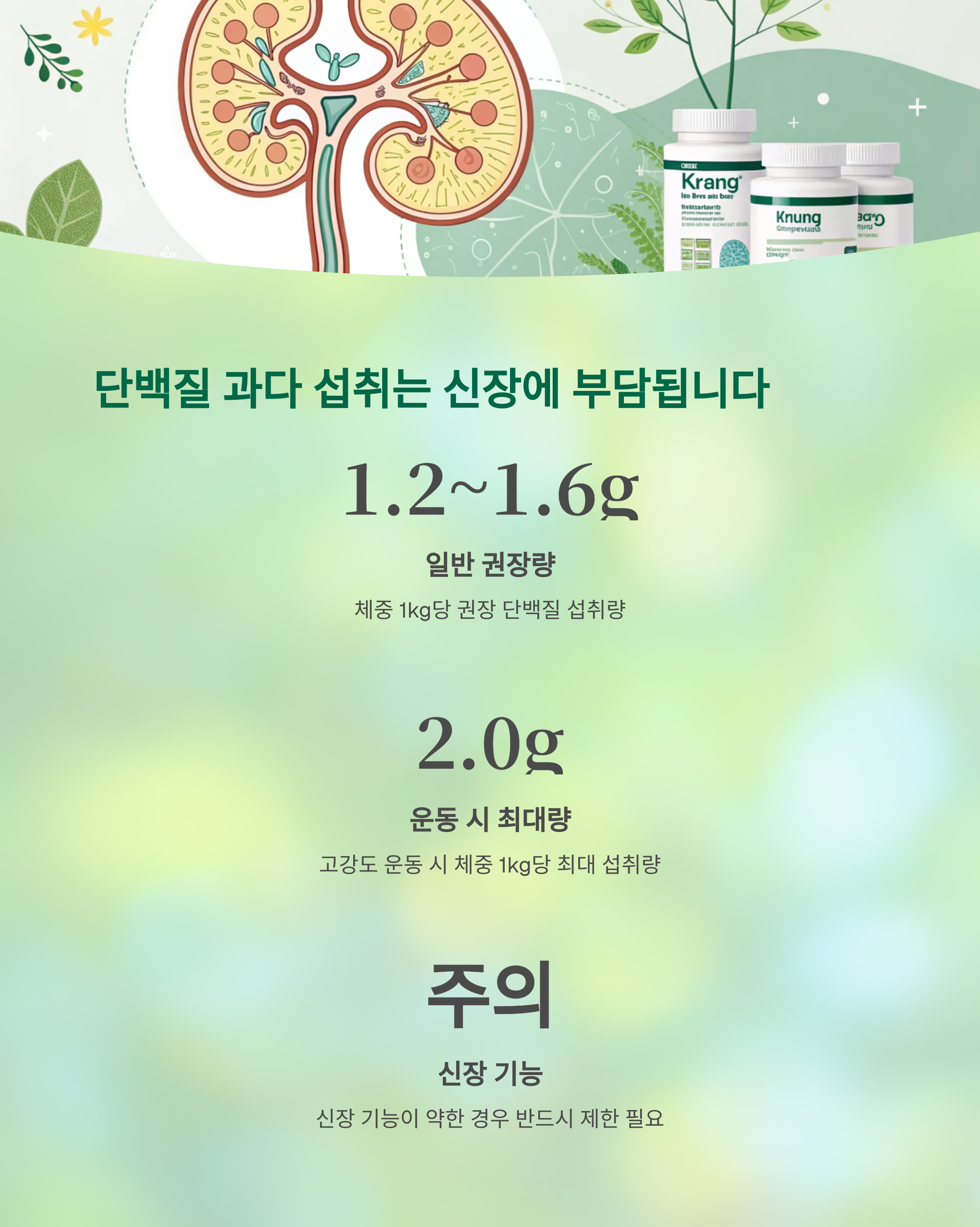 단백질, 언제 먹느냐가 효과를 좌우한다! - 같은 단백질도 '타이밍'에 따라 몸의 반응이 달라집니다 - 과도한 섭취는 신장 부담, 1일 권장량 확인 필수 단백질, 언제 먹느냐가 효과를 좌우한다! - 같은 단백질도 '타이밍'에 따라 몸의 반응이 달라집니다 - 과도한 섭취는 신장 부담, 1일 권장량 확인 필수
