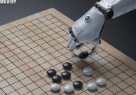 바둑의 역사, 기본 규칙, 전략, 설치방법