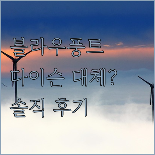 가성비 끝판왕 블라우풍트 드라이어! ..