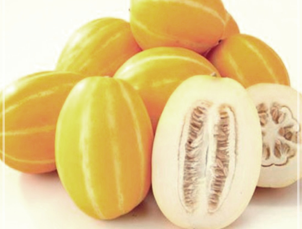 참외 효능, 부작용, 보관법 및 칼로리 총정리