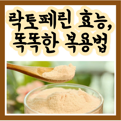 락토페린 효능과 복용법 추천