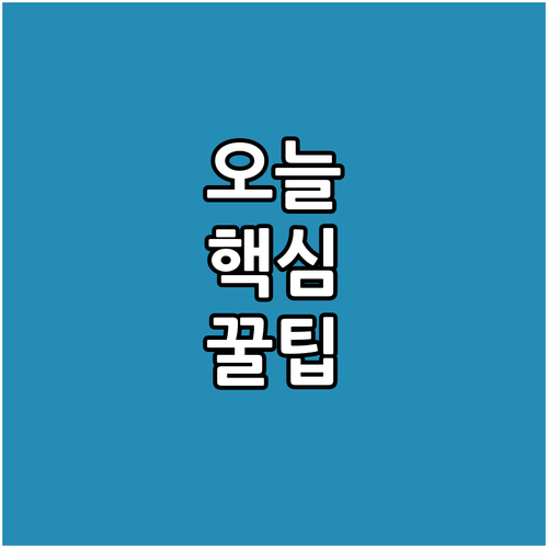 안전운전을 위한 필수 선택 내비게이션