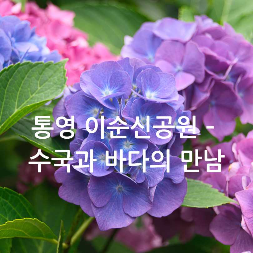 6월 국내여행지 베스트 10