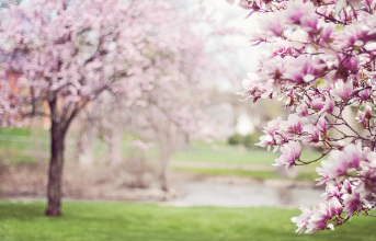 청와대 관람신청 한번에 해결 23