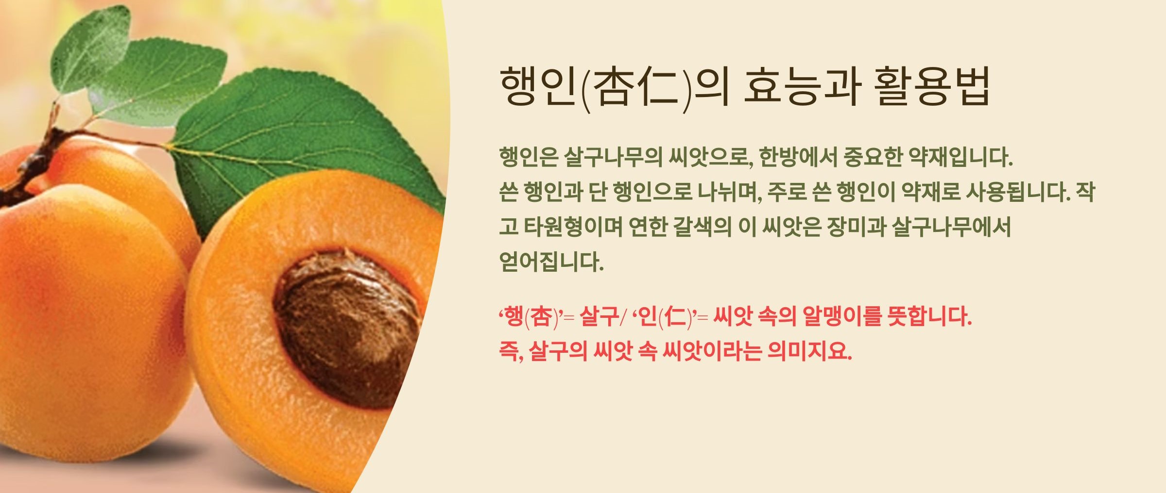 행인