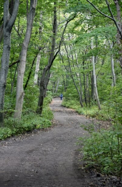 울릉도여행 울릉도배편 울릉도크루즈 울릉도 공항