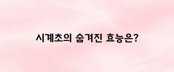 시계초 효능 – 불면증과 스트레스 완화에 좋은 천연 성분