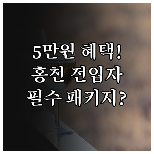 강원 홍천군 2025년 전입 주민 축..