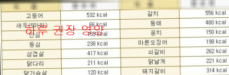하루 권장 영양2