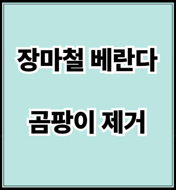 장마철 베란다 곰팡이 제거