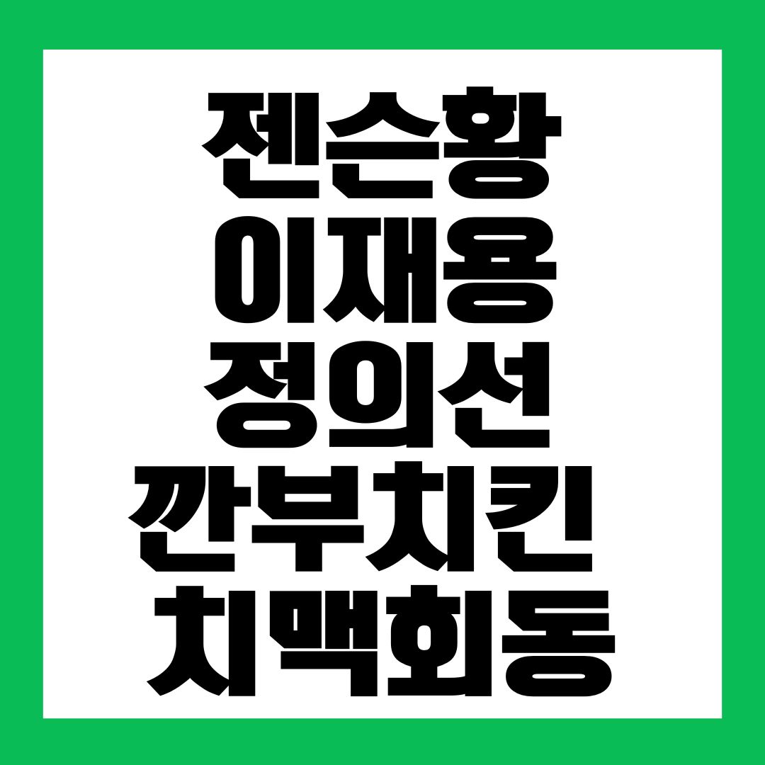 젠슨황 이재용 정의선 깐부치킨 치맥회동