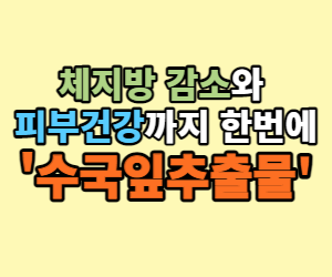 수국잎추출물