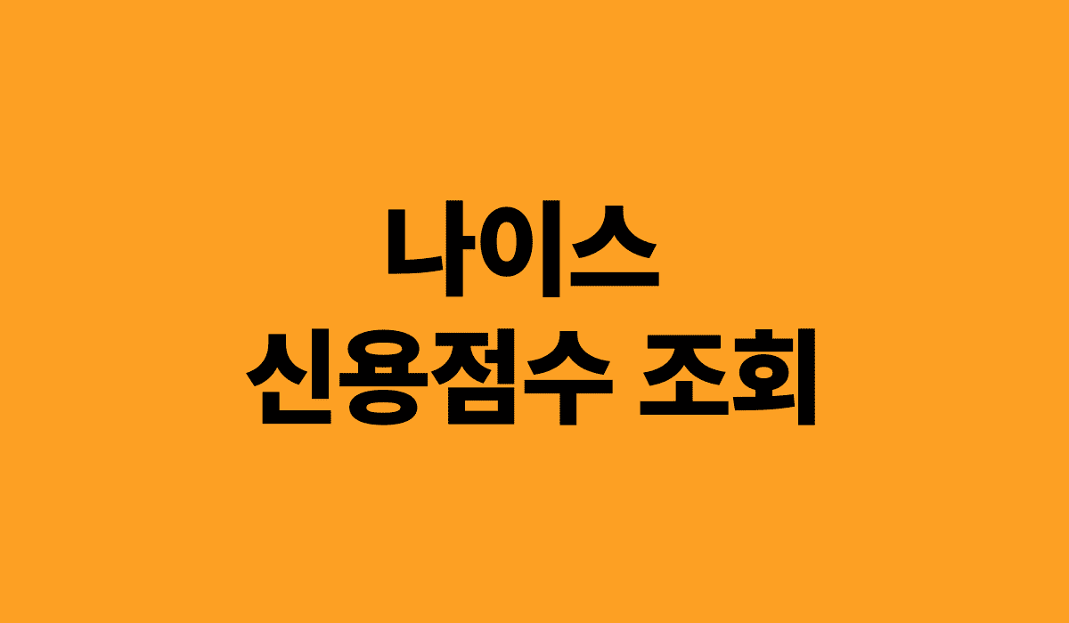 나이스_신용점수_조회_1