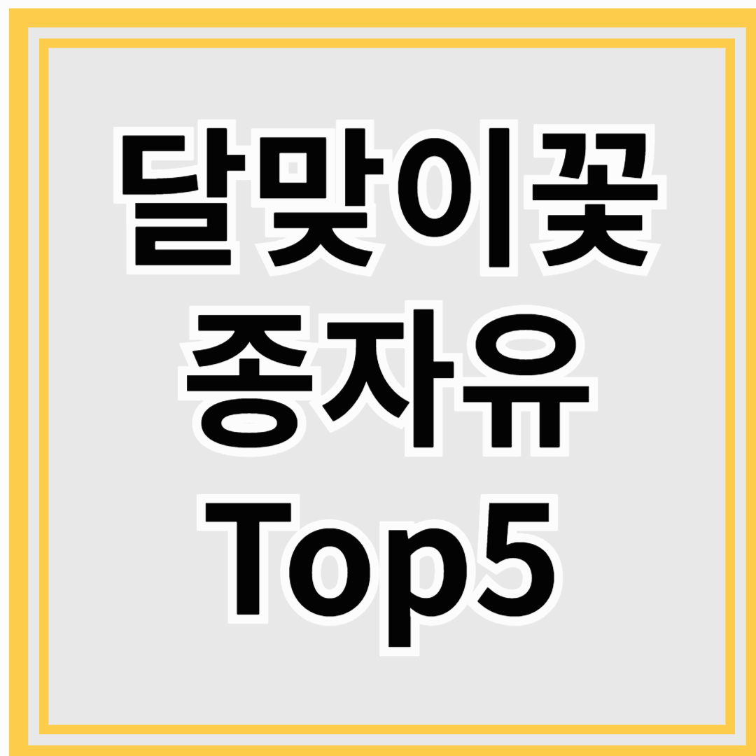 달맞이꽃종자유top5