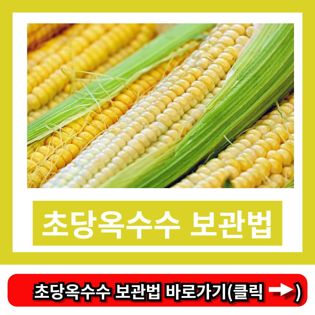 초당옥수수 보관법