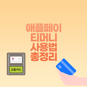 애플페이 티머니 사용법 총정리