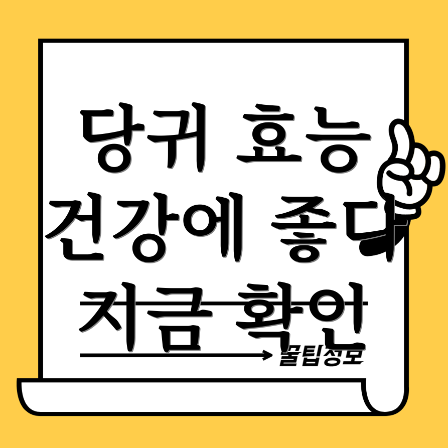 당귀 효능