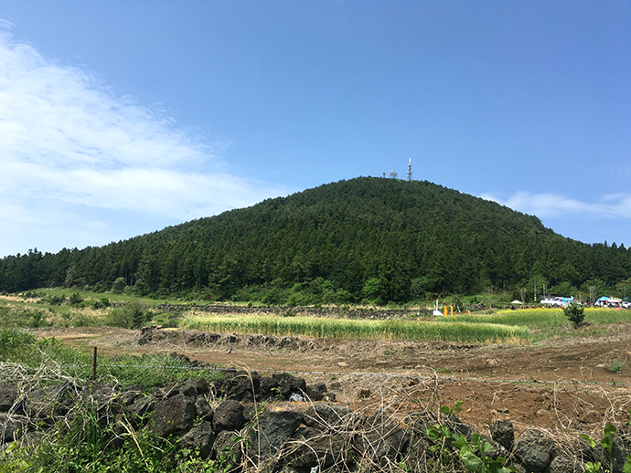 금오름가는길-풍경1