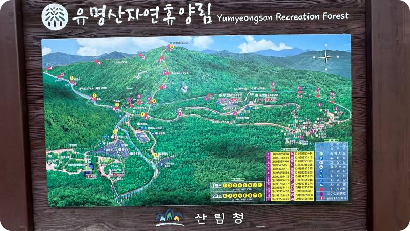 유명산자연휴양림 안내도가 보인다